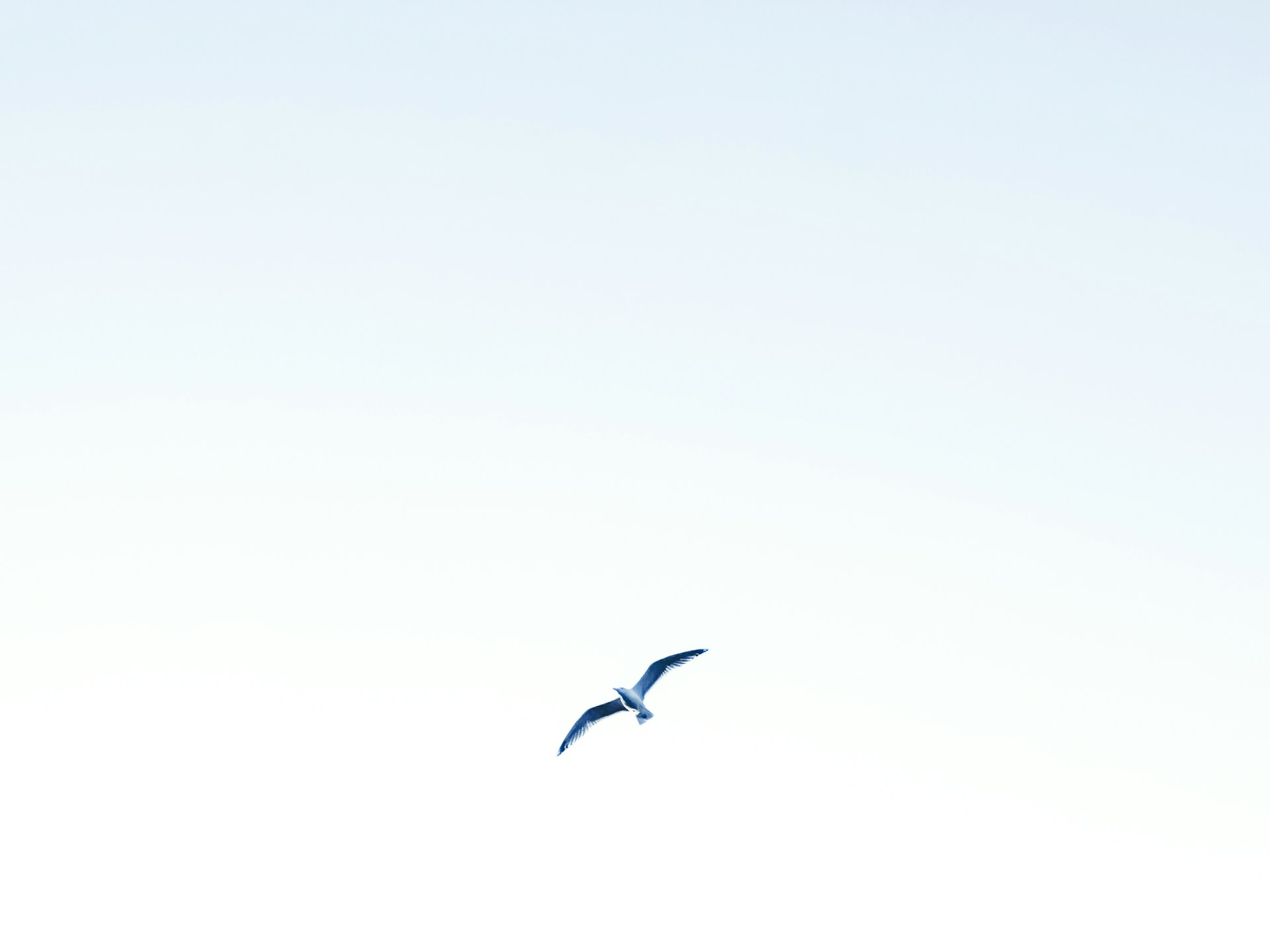 Image default